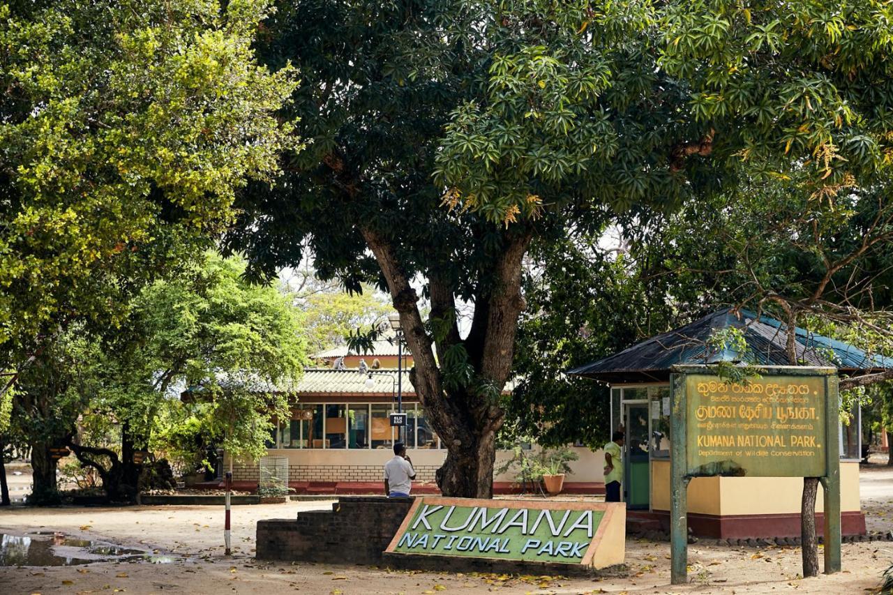 Lazy Bay Hotel Arugam Bay Exterior photo